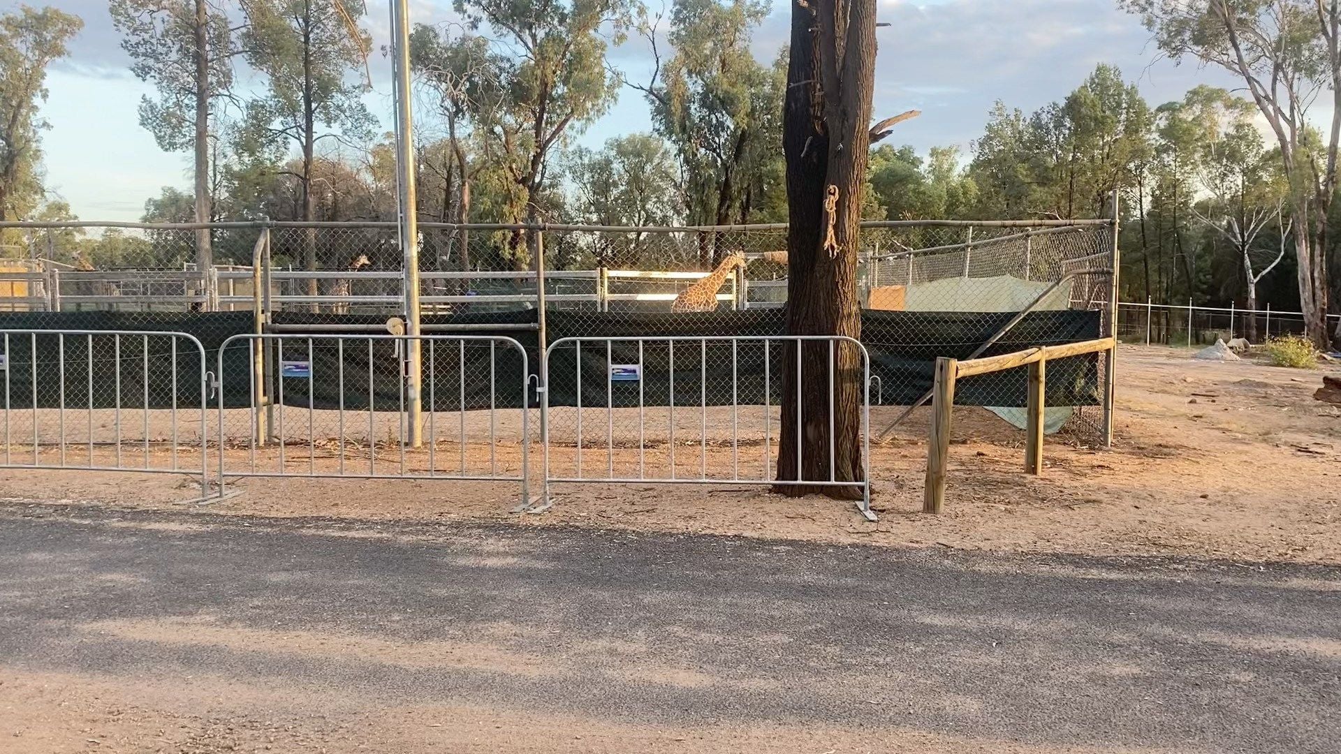 Dubbo Zoo 2025 Image -67de0498cd07e